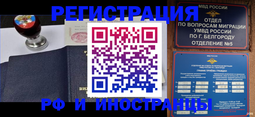 временная регистрация поиск в Электрогорске